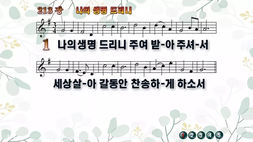 213장 나의 생명 드리니 PPT 미리보기