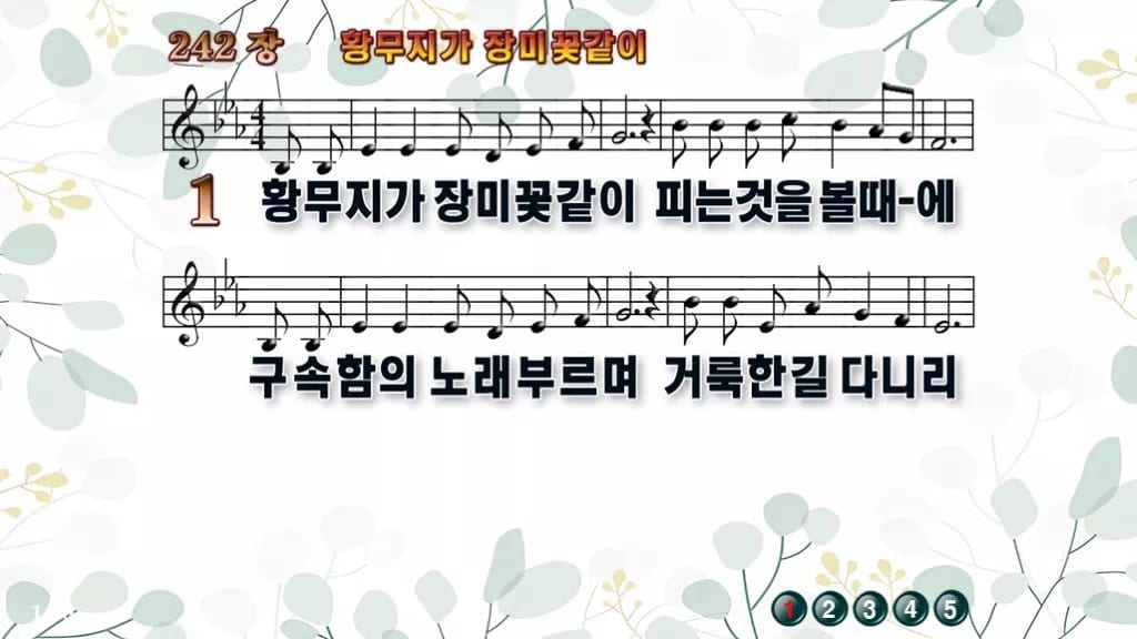 찬송가 242장 PPT 황무지가 장미꽃같이 디자인2 싱그러움 미리보기