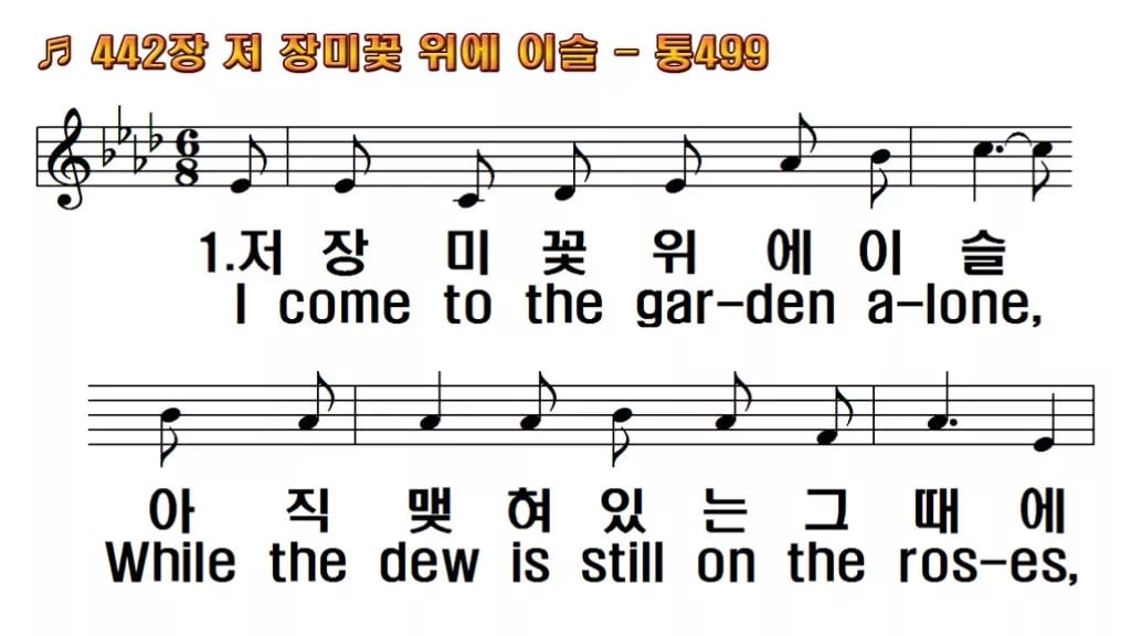 찬송가 442장 PPT 저 장미꽃 위에 이슬, 분위기별 8가지 한영 미리보기