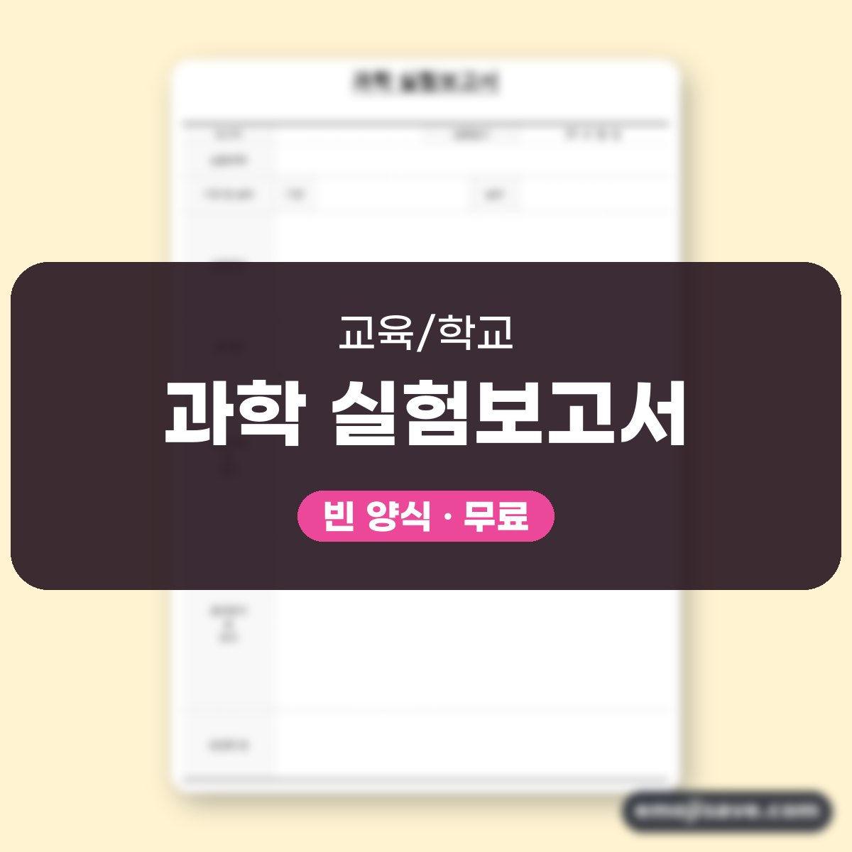 실험보고서 양식 칸별 작성 예시와 예문 대표 이미지
