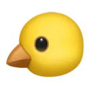 아기 병아리