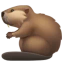 비버