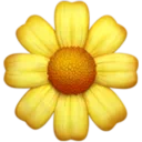 꽃