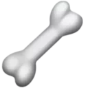 뼈