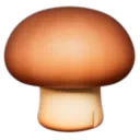 갈색 버섯