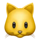 고양이 얼굴