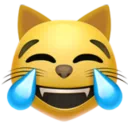 기쁨의 눈물을 흘리는 고양이