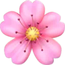 벚꽃