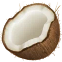 코코넛