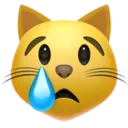 우는 고양이