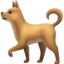 개