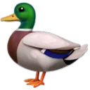 오리