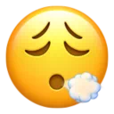 얼굴 숨 내쉬기