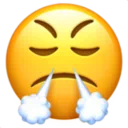 코에서 김이 나는 얼굴