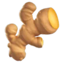 생강 뿌리