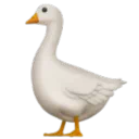 거위