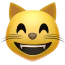 웃는 눈을 가진 웃는 고양이