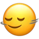 머리가 수평으로 흔들림