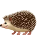 고슴도치