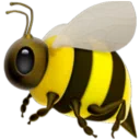 꿀벌