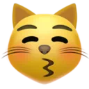 키스하는 고양이