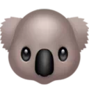 코알라