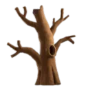 Leafless Tree