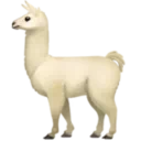 불꽃