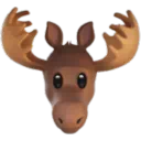 무스
