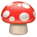 버섯