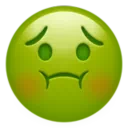 메스꺼운 얼굴
