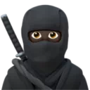 Ninja: Dark Skin Tone