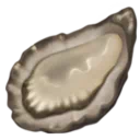 굴