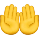 손바닥을 함께 위로 올리기
