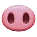 돼지 코