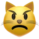 뾰루퉁한 고양이