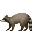 너구리