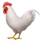 그리드