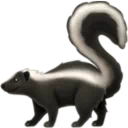스컹크