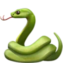 뱀