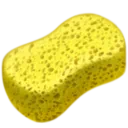 스펀지
