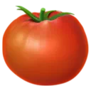 토마토