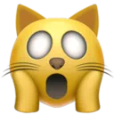 지친 고양이