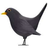 Black Bird — Apple