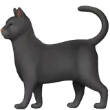 Black Cat — Apple