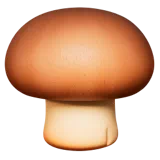 Brown Mushroom — Apple