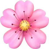 Cherry Blossom — Apple