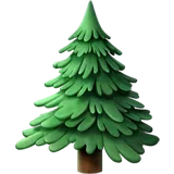 Evergreen Tree — Apple