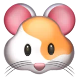 햄스터 — Apple
