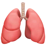 Lungs — Apple